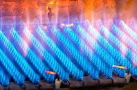 Gobhaig gas fired boilers